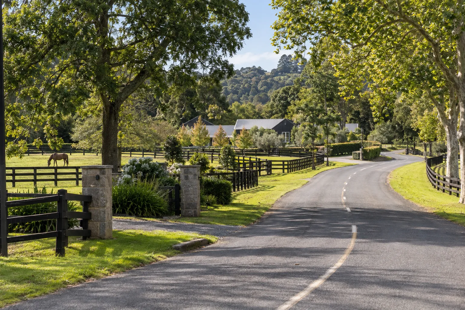 Stone gates, horse paddocks and a tree-lined country road in Coatesville