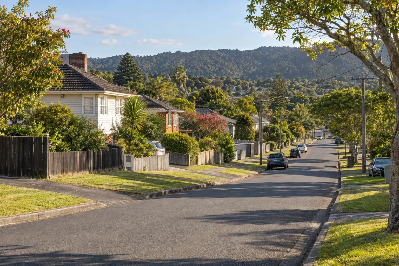 Established Henderson homes on a leafy street below the Waitākere foothills