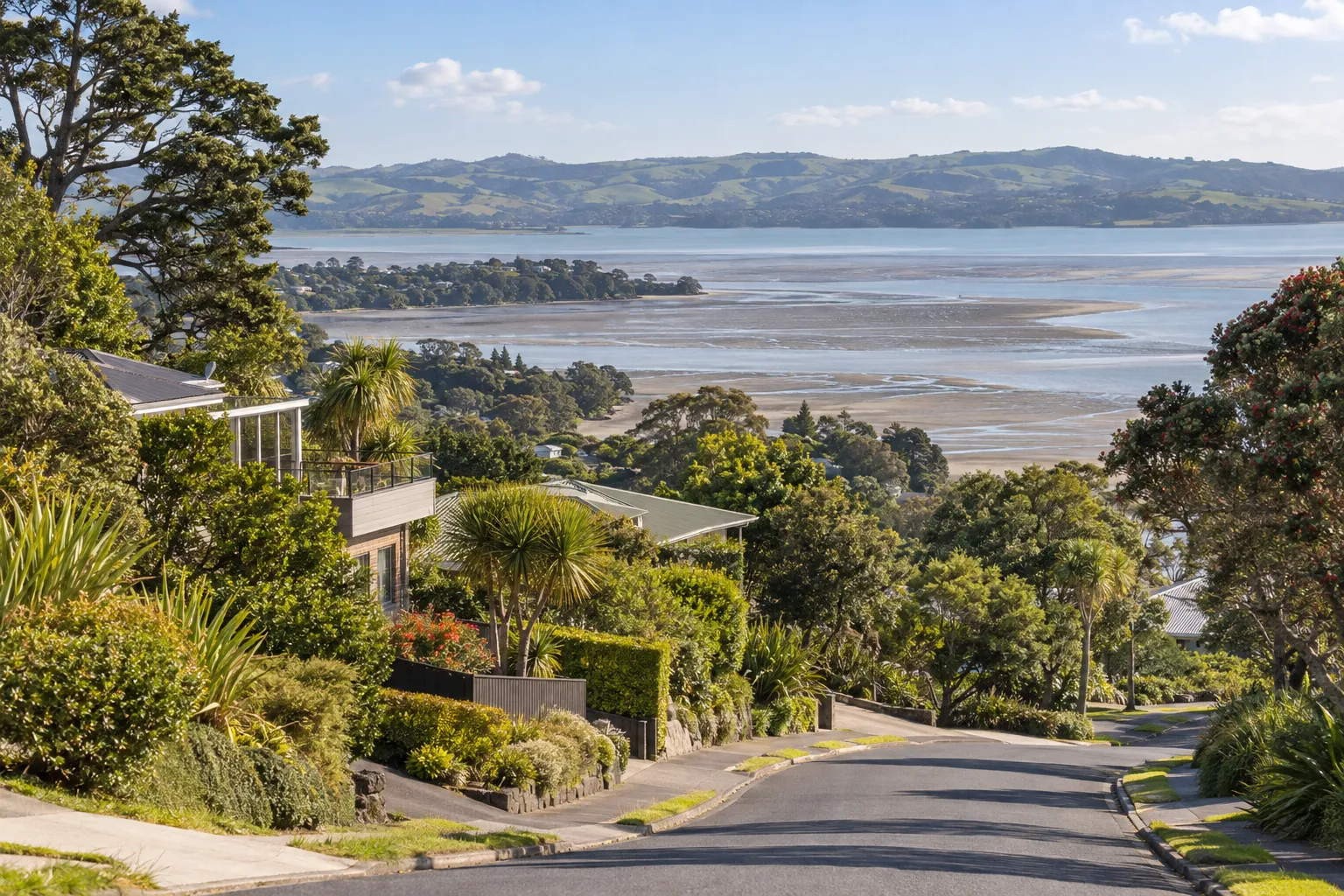 Leafy Hillsborough street descending toward the tidal flats of Manukau Harbour
