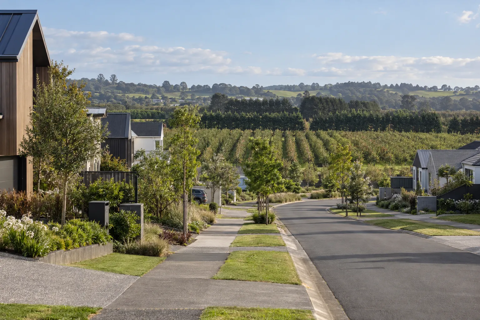 Modern Huapai homes with young street trees beside established orchards