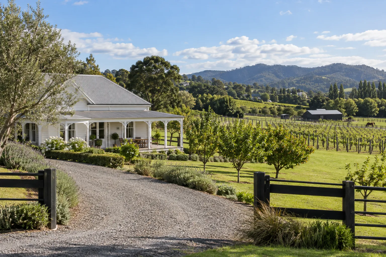 Weatherboard farmhouse and lifestyle homes among vineyards and paddocks in Kumeū