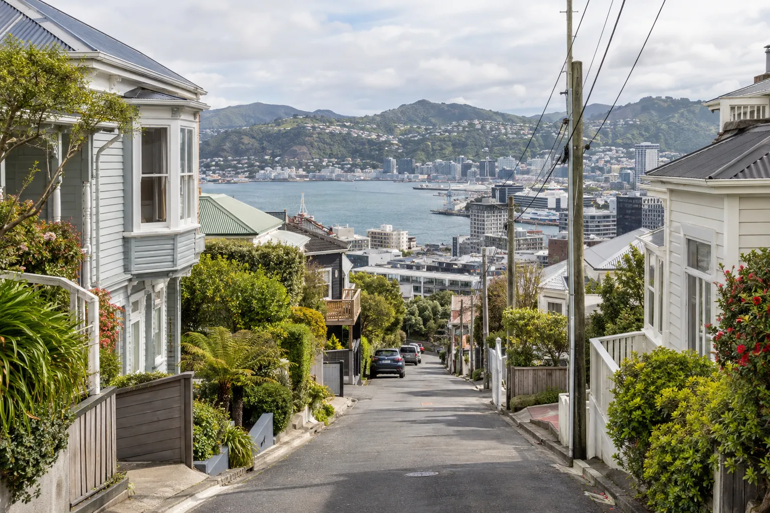 Weatherboard villas on a steep Mount Victoria street overlooking Wellington Harbour